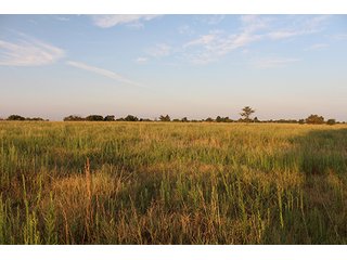 Tract 3 - LAND AUCTION - 440+/- Acres offered in 15 Tracts in Tulsa County